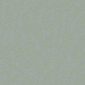 Silestone Grey Moss